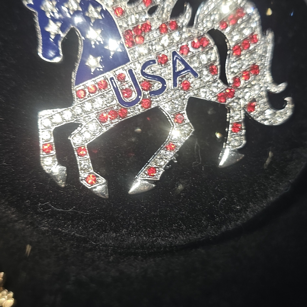 Qty 2 NWT Patriotic USA Flag Rhinestone Horse Brooches – Gold & Silver Tone - Picture 8 of 9